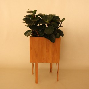 Bloooms Plant Pot BB