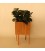 Bloooms Plant Pot  caramel 23