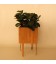 Bloooms Plant Pot BB