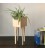 Bloooms planten pot 15