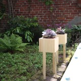 Bloooms planten pot 15