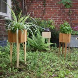 Bloooms planten pot