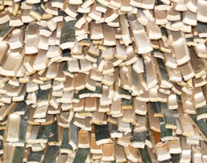 groffestrips300 groffestrips300
